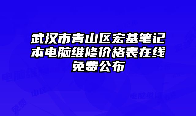 武漢市青山區宏基筆記本電腦維修價格表在線免費公布
