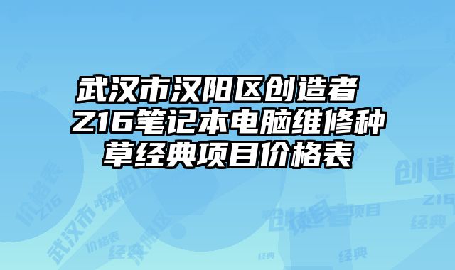 武漢市漢陽區創造者 Z16筆記本電腦維修種草經典項目價格表