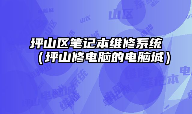 坪山區(qū)筆記本維修系統(tǒng)（坪山修電腦的電腦城）