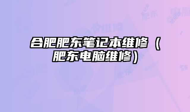 合肥肥東筆記本維修（肥東電腦維修）