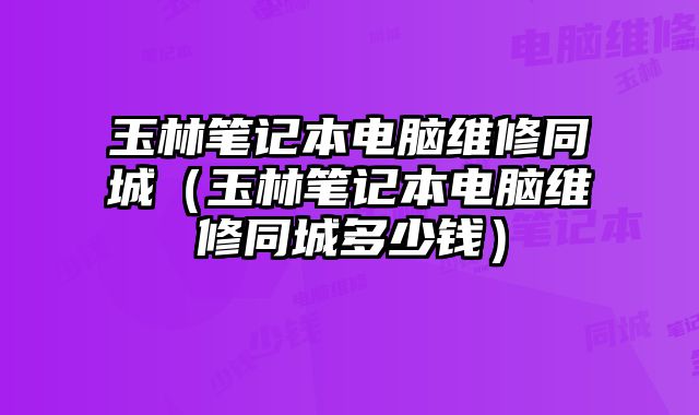 玉林筆記本電腦維修同城（玉林筆記本電腦維修同城多少錢）