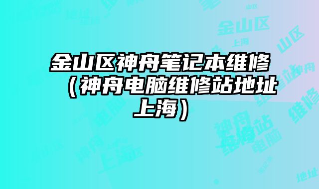 金山區神舟筆記本維修（神舟電腦維修站地址上海）