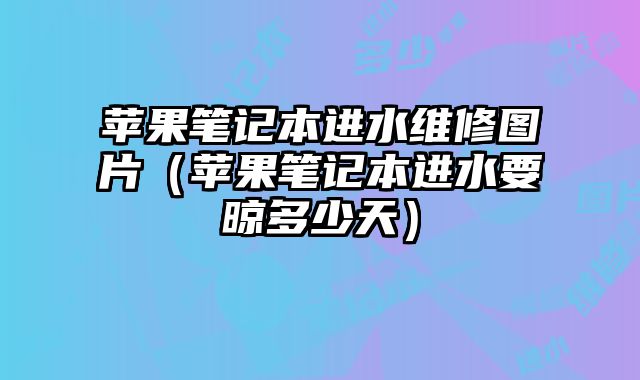 蘋果筆記本進水維修圖片（蘋果筆記本進水要晾多少天）