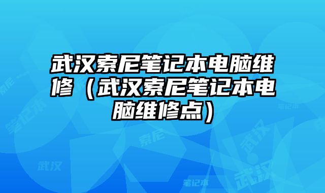 武漢索尼筆記本電腦維修（武漢索尼筆記本電腦維修點(diǎn)）