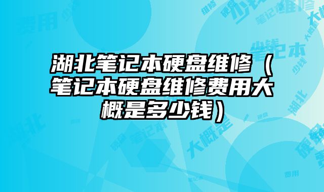 湖北筆記本硬盤維修（筆記本硬盤維修費用大概是多少錢）