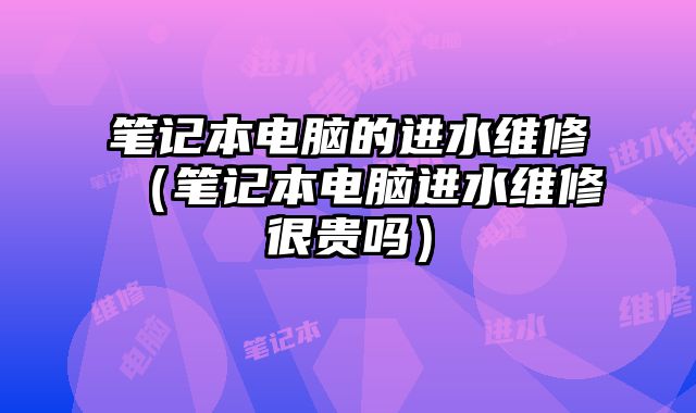 筆記本電腦的進水維修（筆記本電腦進水維修很貴嗎）
