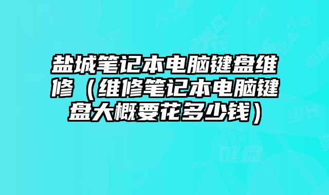 鹽城筆記本電腦鍵盤維修（維修筆記本電腦鍵盤大概要花多少錢）