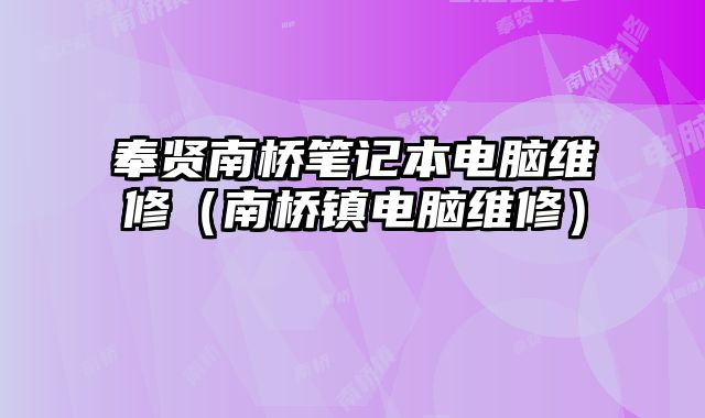奉賢南橋筆記本電腦維修（南橋鎮(zhèn)電腦維修）