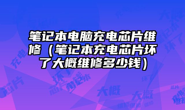 筆記本電腦充電芯片維修（筆記本充電芯片壞了大概維修多少錢）