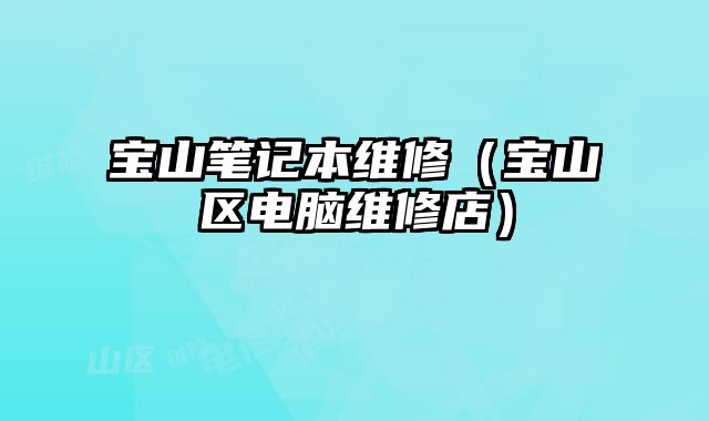 寶山筆記本維修（寶山區電腦維修店）