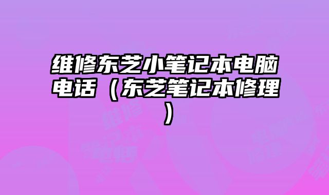 維修東芝小筆記本電腦電話（東芝筆記本修理）
