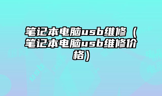 筆記本電腦usb維修（筆記本電腦usb維修價格）
