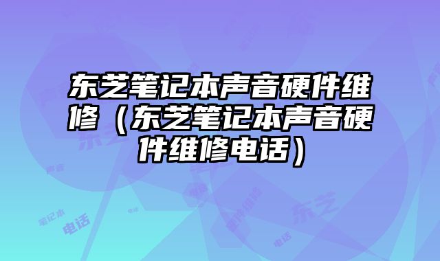 東芝筆記本聲音硬件維修（東芝筆記本聲音硬件維修電話）
