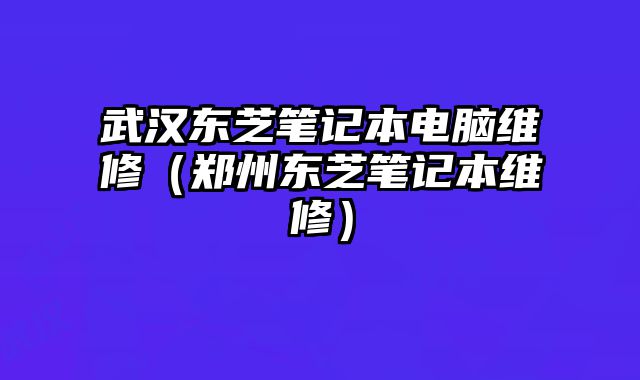 武漢東芝筆記本電腦維修（鄭州東芝筆記本維修）