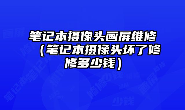 筆記本攝像頭畫屏維修（筆記本攝像頭壞了修修多少錢）