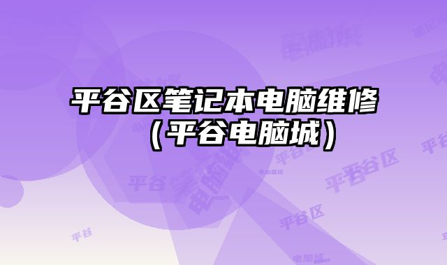 平谷區筆記本電腦維修（平谷電腦城）
