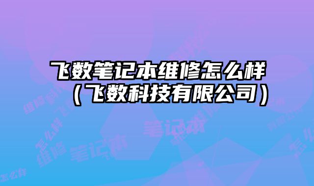 飛數(shù)筆記本維修怎么樣（飛數(shù)科技有限公司）