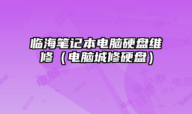 臨海筆記本電腦硬盤維修（電腦城修硬盤）