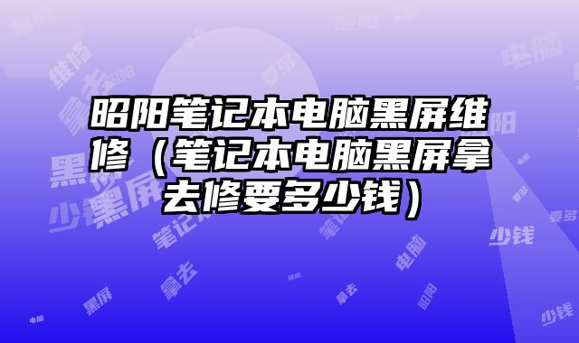 昭陽筆記本電腦黑屏維修（筆記本電腦黑屏拿去修要多少錢）