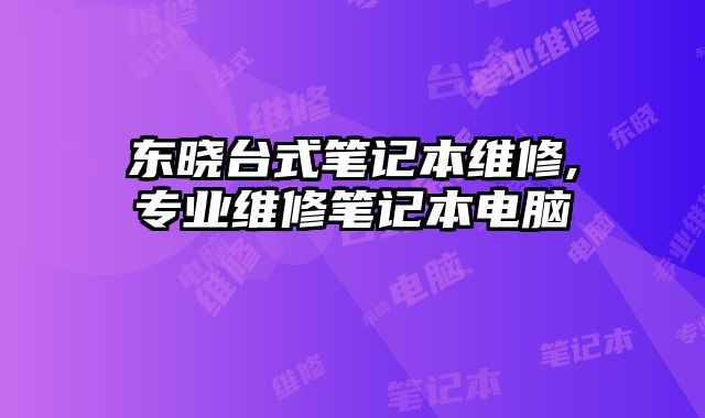 東曉臺式筆記本維修,專業(yè)維修筆記本電腦