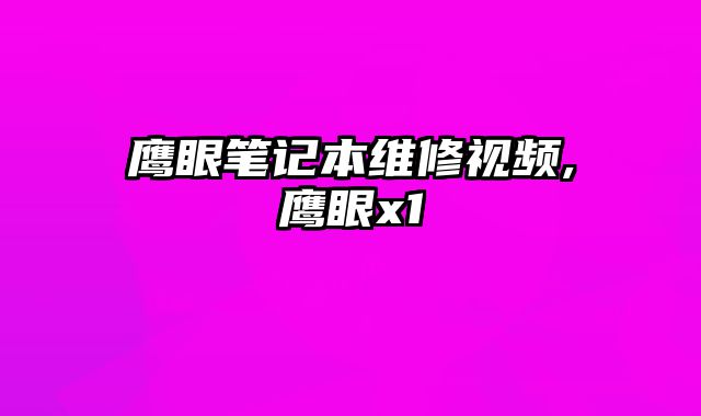 鷹眼筆記本維修視頻,鷹眼x1