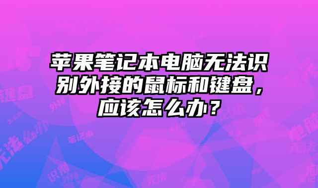 蘋果筆記本電腦無法識別外接的鼠標和鍵盤，應(yīng)該怎么辦？