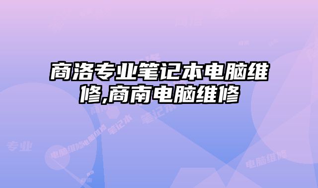 商洛專業筆記本電腦維修,商南電腦維修