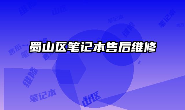 蜀山區筆記本售后維修