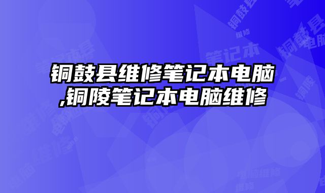 銅鼓縣維修筆記本電腦,銅陵筆記本電腦維修