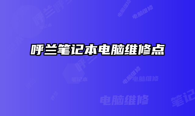 呼蘭筆記本電腦維修點