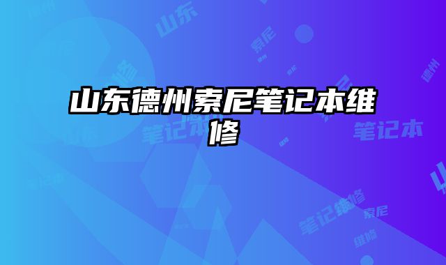 山東德州索尼筆記本維修