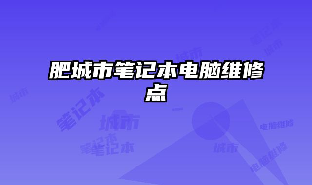 肥城市筆記本電腦維修點