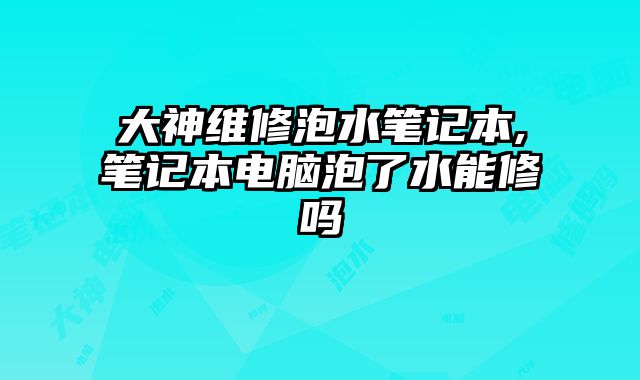 大神維修泡水筆記本,筆記本電腦泡了水能修嗎