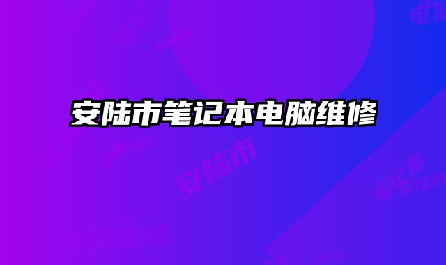 安陸市筆記本電腦維修