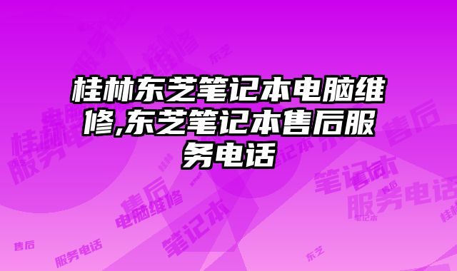 桂林東芝筆記本電腦維修,東芝筆記本售后服務電話