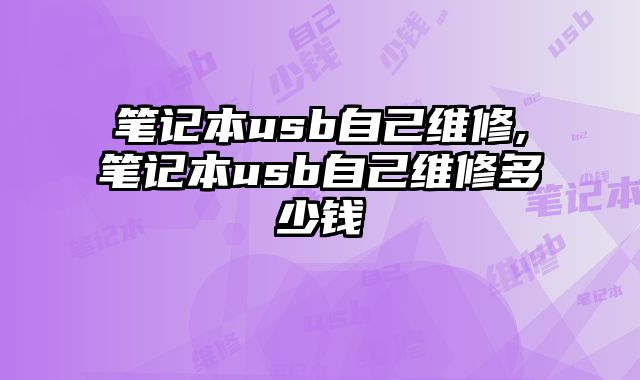 筆記本usb自己維修,筆記本usb自己維修多少錢
