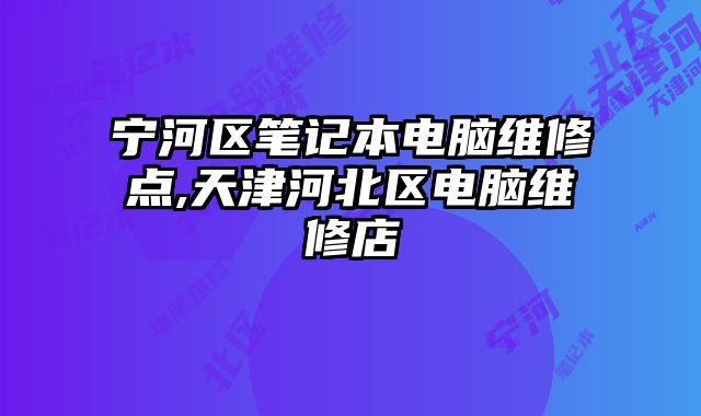 寧河區(qū)筆記本電腦維修點(diǎn),天津河北區(qū)電腦維修店