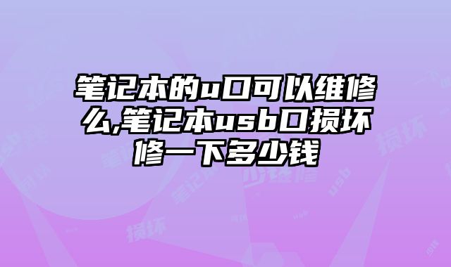 筆記本的u口可以維修么,筆記本usb口損壞修一下多少錢
