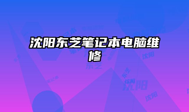 沈陽東芝筆記本電腦維修