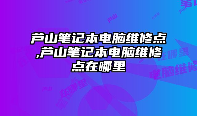 蘆山筆記本電腦維修點,蘆山筆記本電腦維修點在哪里