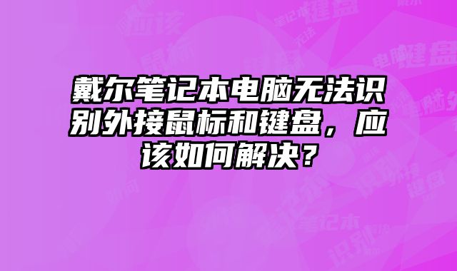戴爾筆記本電腦無法識別外接鼠標和鍵盤，應該如何解決？