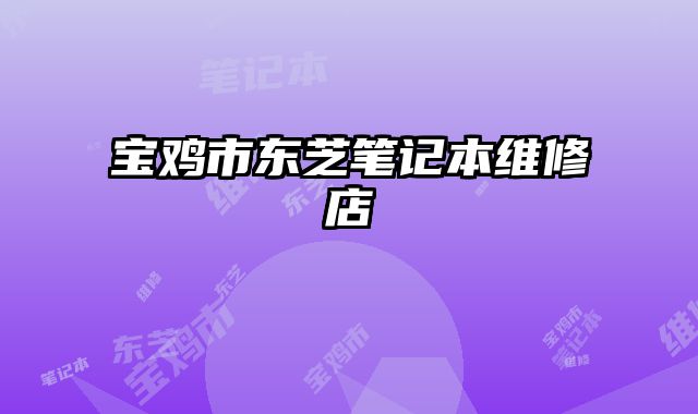 寶雞市東芝筆記本維修店