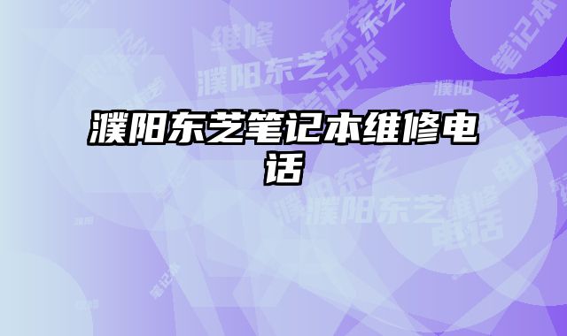 濮陽東芝筆記本維修電話