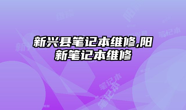 新興縣筆記本維修,陽新筆記本維修