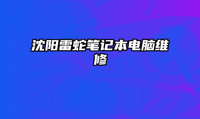 沈陽雷蛇筆記本電腦維修