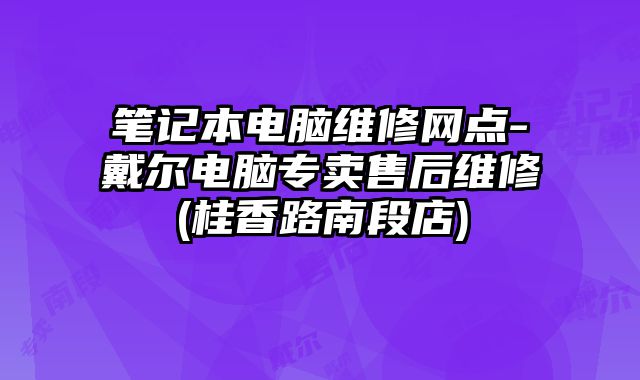 筆記本電腦維修網(wǎng)點-戴爾電腦專賣售后維修(桂香路南段店)