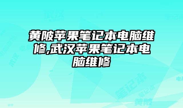 黃陂蘋果筆記本電腦維修,武漢蘋果筆記本電腦維修