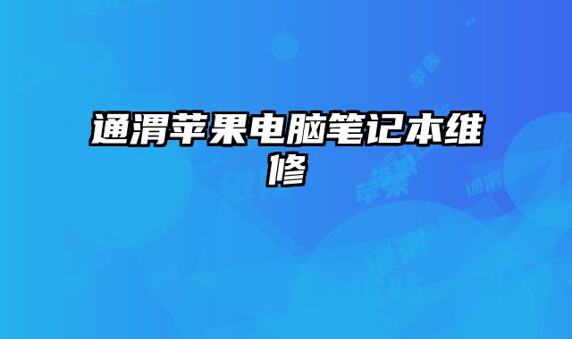 通渭蘋果電腦筆記本維修