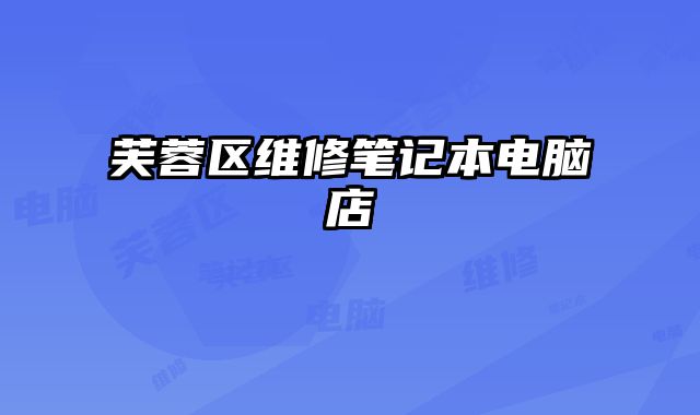 芙蓉區(qū)維修筆記本電腦店