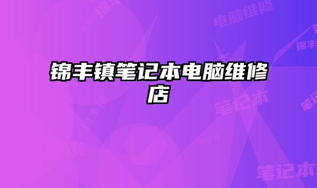 錦豐鎮筆記本電腦維修店